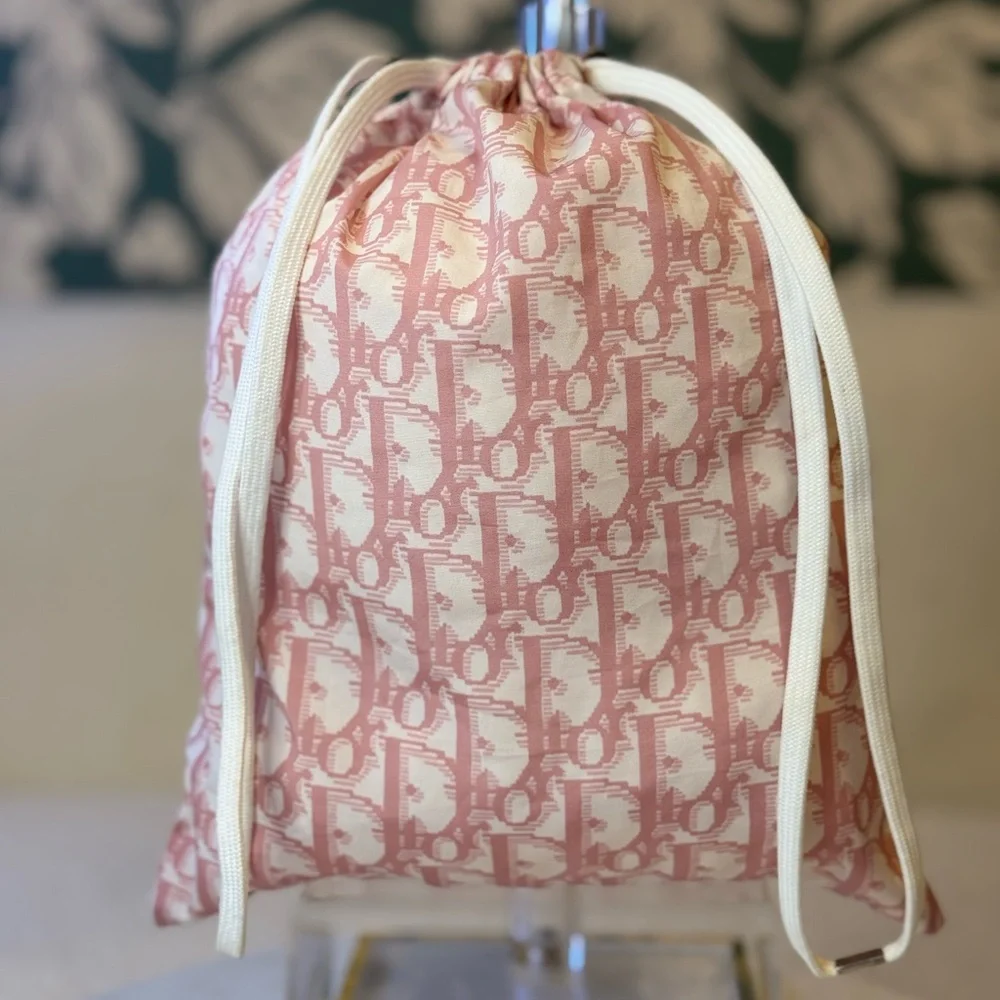 Dior Authentic Pink and Cream Trotter Transparent Crossbody bag w/pouch. RARE - Picture 11 of 16